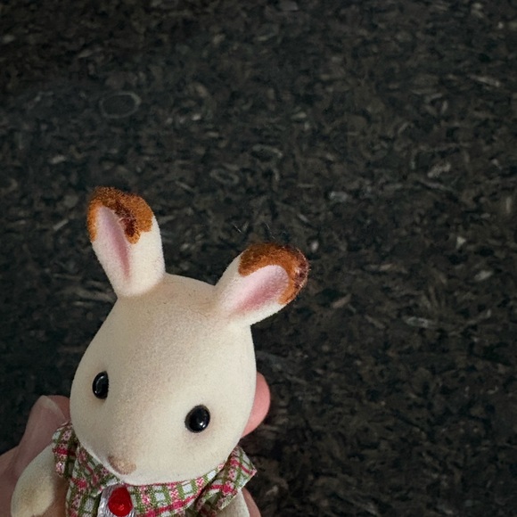 Family Set - Multicolor - Picture 4 of 4